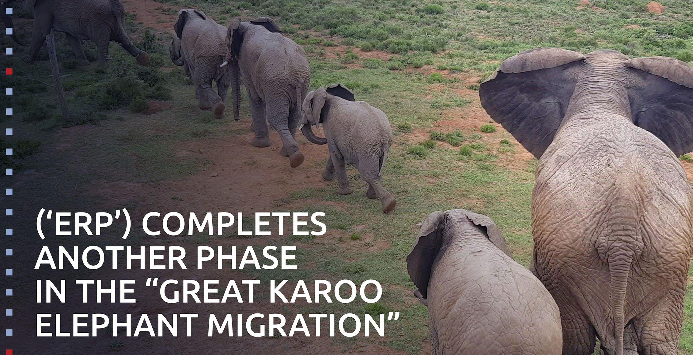 (ERP) Great Karoo Elephant Migration